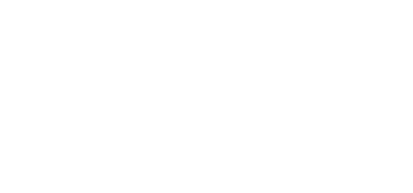 TrIA Lleida